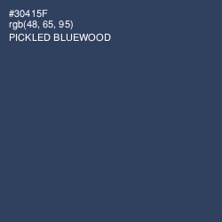 #30415F - Pickled Bluewood Color Image