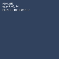 #30425E - Pickled Bluewood Color Image