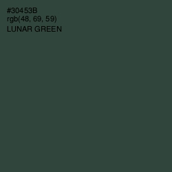 #30453B - Lunar Green Color Image