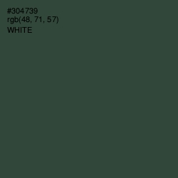 #304739 - Lunar Green Color Image