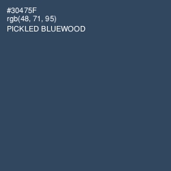 #30475F - Pickled Bluewood Color Image