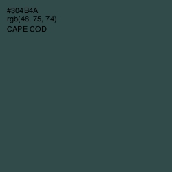 #304B4A - Cape Cod Color Image