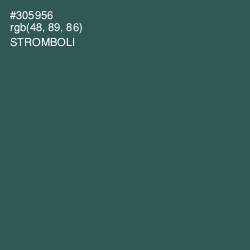 #305956 - Stromboli Color Image