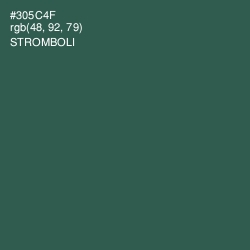 #305C4F - Stromboli Color Image