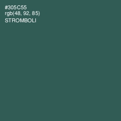 #305C55 - Stromboli Color Image