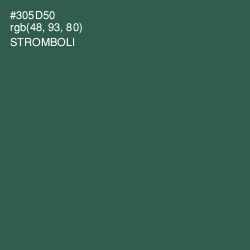 #305D50 - Stromboli Color Image