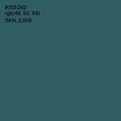 #305D62 - San Juan Color Image