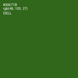 #30671B - Dell Color Image