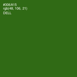 #306A15 - Dell Color Image