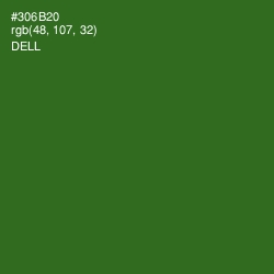 #306B20 - Dell Color Image