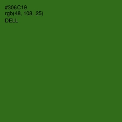 #306C19 - Dell Color Image