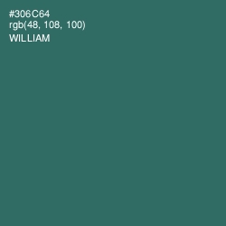 #306C64 - William Color Image