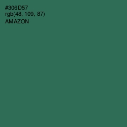 #306D57 - Amazon Color Image