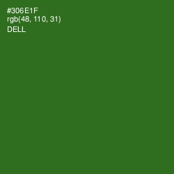 #306E1F - Dell Color Image