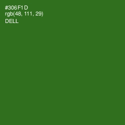 #306F1D - Dell Color Image