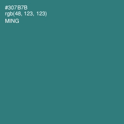 #307B7B - Ming Color Image
