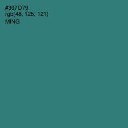 #307D79 - Ming Color Image