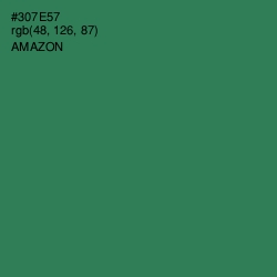 #307E57 - Amazon Color Image