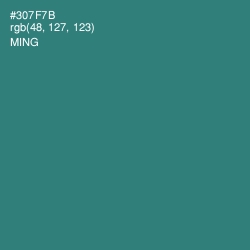#307F7B - Ming Color Image