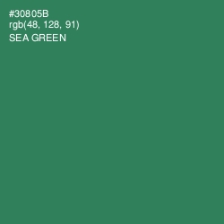 #30805B - Sea Green Color Image