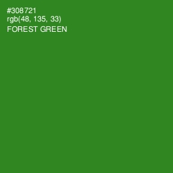 #308721 - Forest Green Color Image