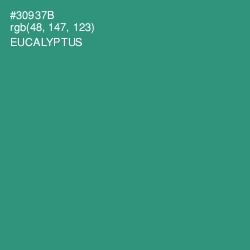 #30937B - Eucalyptus Color Image