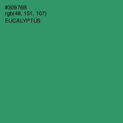 #30976B - Eucalyptus Color Image