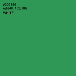 #309856 - Sea Green Color Image