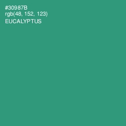 #30987B - Eucalyptus Color Image