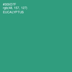 #309D7F - Eucalyptus Color Image