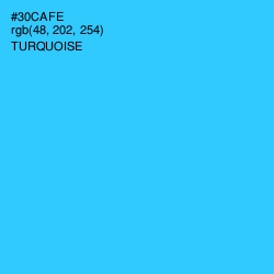 #30CAFE - Turquoise Color Image
