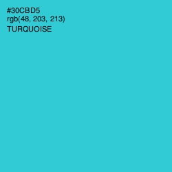 #30CBD5 - Turquoise Color Image