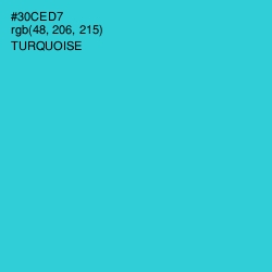 #30CED7 - Turquoise Color Image