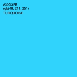 #30D3FB - Turquoise Color Image