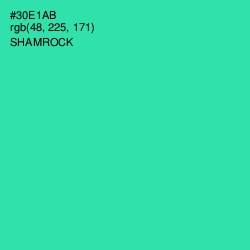 #30E1AB - Shamrock Color Image