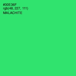 #30E36F - Malachite Color Image