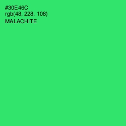 #30E46C - Malachite Color Image