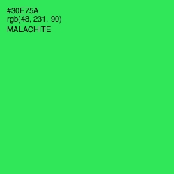 #30E75A - Malachite Color Image