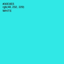 #30E8E5 - Turquoise Color Image