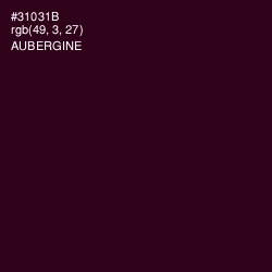 #31031B - Aubergine Color Image