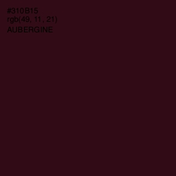 #310B15 - Aubergine Color Image