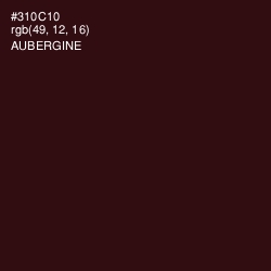 #310C10 - Aubergine Color Image