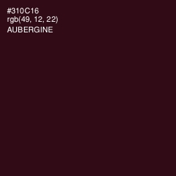 #310C16 - Aubergine Color Image