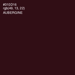 #310D16 - Aubergine Color Image