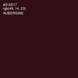#310E17 - Aubergine Color Image