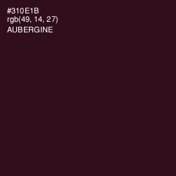 #310E1B - Aubergine Color Image