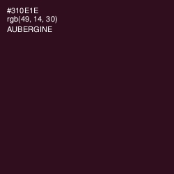 #310E1E - Aubergine Color Image