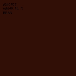 #310F07 - Bean   Color Image