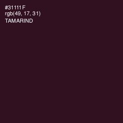 #31111F - Tamarind Color Image