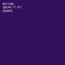 #31115B - Grape Color Image